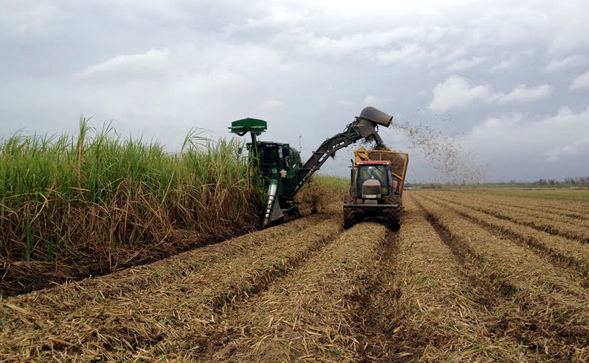 3 GMO Statement.jpg thumbnail
